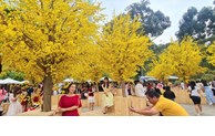 Người dân vui Xuân tại Lễ hội Tết Việt